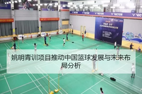 姚明青训项目推动中国篮球发展与未来布局分析