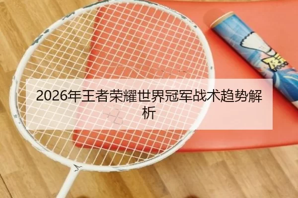 2026年王者荣耀世界冠军战术趋势解析
